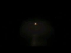 Custom Fiberglass Sculptures